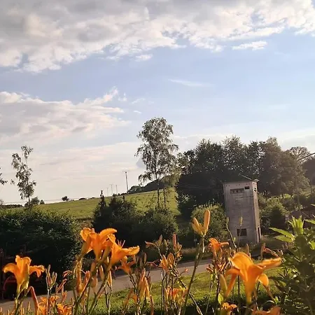 Apartamento Markelsbach *