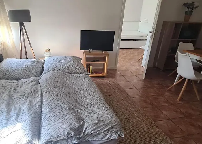 Markelsbach 公寓 *